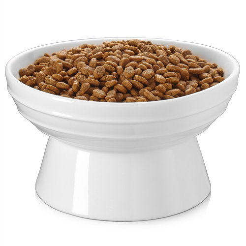 Y YHY Elevated Dog Bowl & Reviews Wayfair